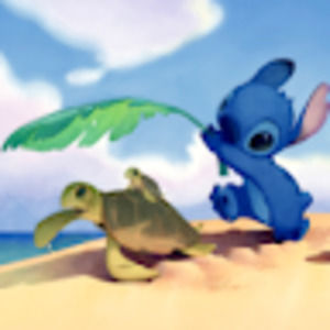 Meet your Posher, Hailey